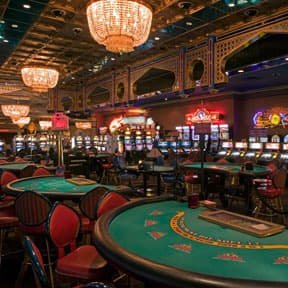 Pragmatic Play live-dealer tables and sportsbook interface on goslot88 login